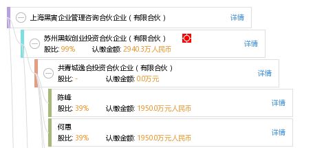 上海黑寅企业管理咨询合伙企业 有限合伙模式下的专业管理咨询探索